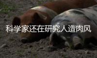 科学家还在研究人造肉风味，人造肉企业已经撑不下去了