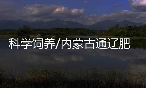对不符合要求的服侍坚决不用