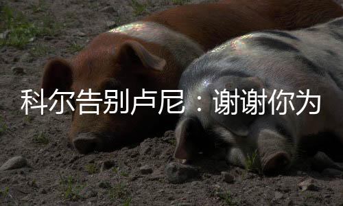 为主教练科尔告别卢尼