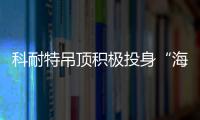 快排公司十年历程，霸屏兔 seo 的崛起与坚守
