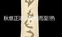 快排公司十年历程，霸屏兔 seo 的崛起与坚守