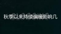 快排公司十年历程，霸屏兔 seo 的崛起与坚守