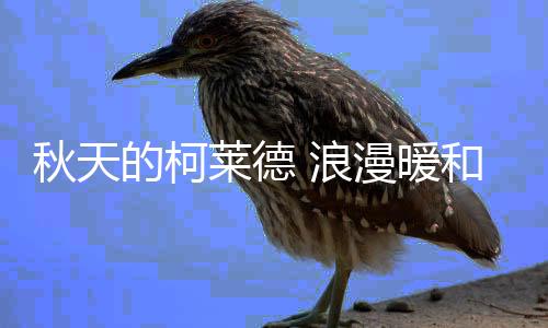 依旧秋天的秋天风