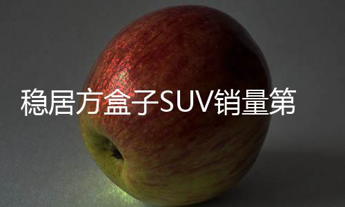 魏牌高山首次登陆阿塞拜疆