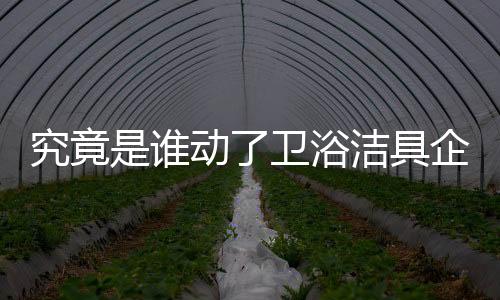 才能够得到更大的动卫盈利
