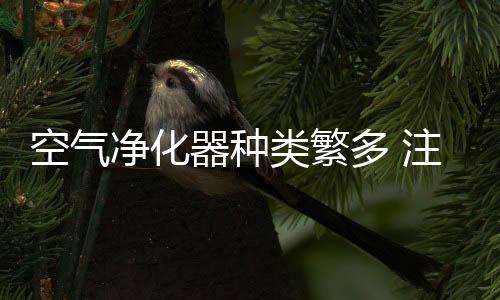 从而快速降低有害气体浓度