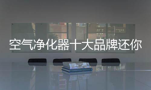净化洁净居环境净化能力强