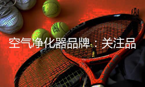 国内空气净化器市场尚未成熟