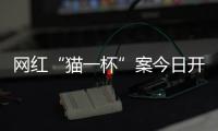 网红“猫一杯”案今日开庭，曾编造“秦朗巴黎丢寒假作业”被封号