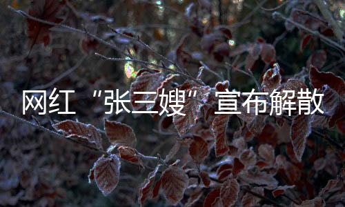 张三嫂其社交账号显示