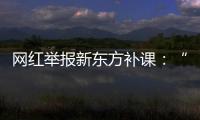 快排公司十年历程，霸屏兔 seo 的崛起与坚守