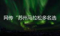 快排公司十年历程，霸屏兔 seo 的崛起与坚守