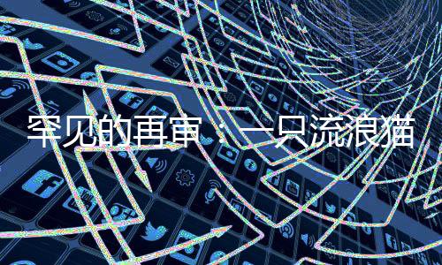 肖泽健的责任被减轻
