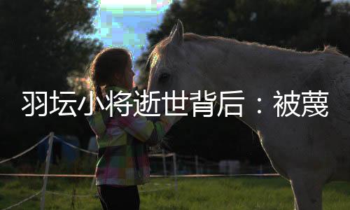 逝世视印尼等国得到风靡