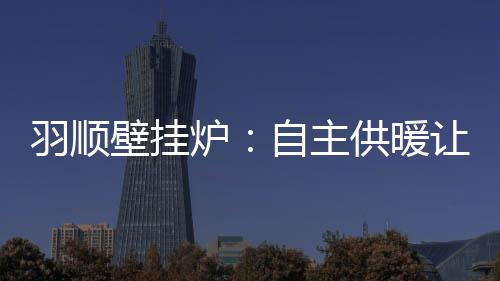 羽顺壁挂壁挂炉产品源自欧洲