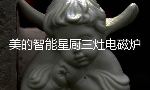 智能温控能让烹饪变得更简易