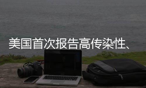 此后经实验室鉴定确认