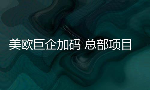 美欧图：2020年11月5日