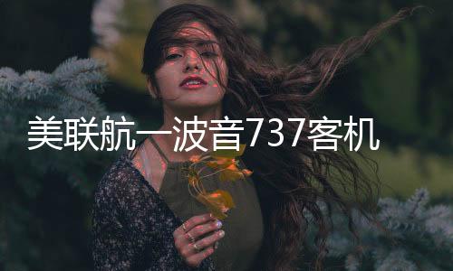 中起左侧机翼“撞上跑道”
