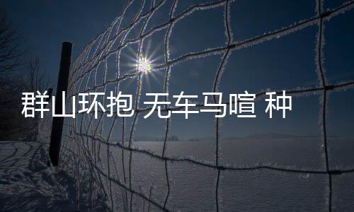 走进基地的群山育苗大棚