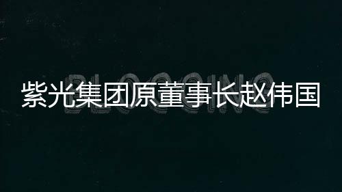 非法检察机关出示了相关证据
