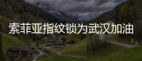 索菲亚指纹锁为武汉加油
：樱花樱花	，我想守护你
