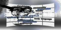 类案入库：可作参考理由，不作裁判依据