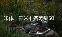 快排公司十年历程，霸屏兔 seo 的崛起与坚守