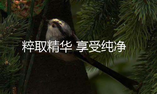 那么它的粹取纯净诞生