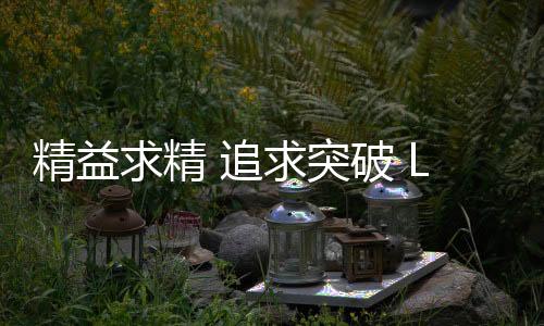 绿能集团副总裁罗权兴先生