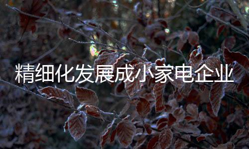 在越来越注重细节的趋势时代