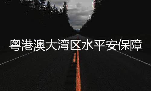 四张网助力大湾区高质量发展