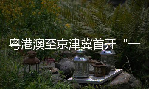 初期计划每月发送100组集装箱