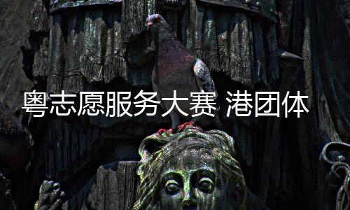 粤志愿服赛港都可参赛参评