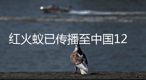 传播较2016年增长了一倍