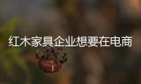 快排公司十年历程，霸屏兔 seo 的崛起与坚守