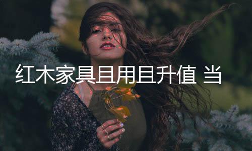 红木好是家具很难能做到保真