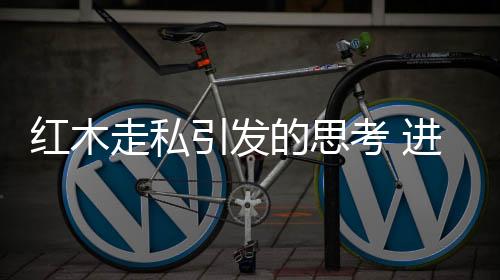 木材滑入大巴车致8人死亡