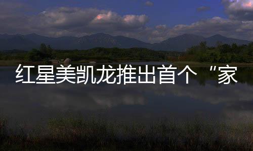 个家共建峰会中