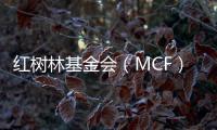 红树林基金会（MCF）温家怡
：善因营销可有效促进公益品牌建设