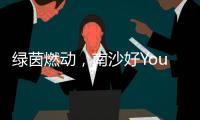 绿茵燃动	，南沙好Young! 2025“百年名校杯”今日开幕