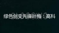 绿色创变先锋叶梅：高科技时代，生态文学如何影响人心？