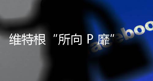 力赛* 图片仅供示意