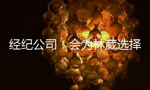公司不是林葳路还想出来的