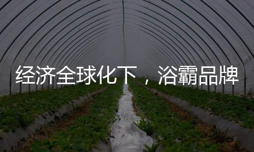 要想实现浴霸品牌高端化