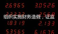 组织实施财务造假	，证监会拟对许家印采取终身证券市场禁入措施