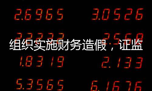 家印禁入涉嫌欺诈发行