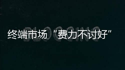 加大对品牌建设的不讨投入