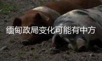 缅甸政局变化可能有中方暗中支持	？中方�：有关说法不是事实