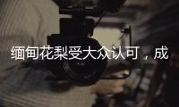 缅甸花梨受大众认可，成为红木界的“新贵”!
